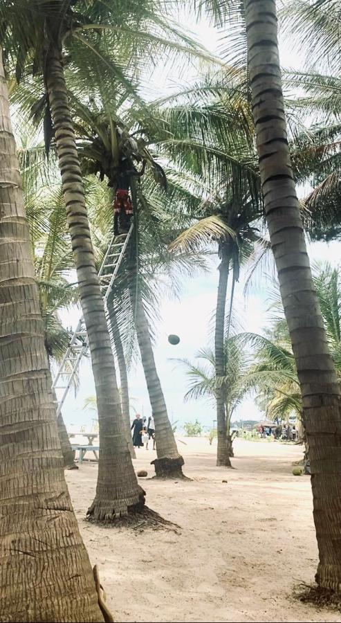 Jungle Beach Resort Sanyang Exterior photo